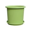 The New - Gallon Rose And Green Vine Plastic Flowerpot Of Four Seasons Flowerpot