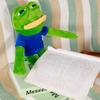 40cm Sad Frog Plush Toy Soft Stuffed Pillow Magic Expression Pepe The Sad Frog Animal Plush Doll Birthday GIfts for Girls Boys
