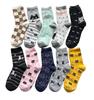 Милые носки с рисунком кота, стильный комплект из 10 пар из хлопковой смеси с рисунком кота, женские, C91