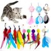 10pcs Cat Wand Toy Refills Cat Feather Toys Accessories for Cat Fishing Pole Assorted Teaser Refills with Bell for Indoor Kitten