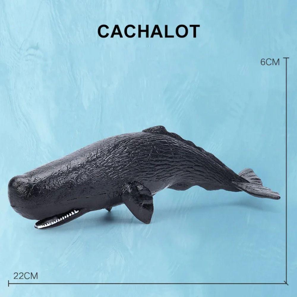 Shark Cachalot Whale Figurines Marine Animals Ocean Action Figures Gift Simulation Sea Life