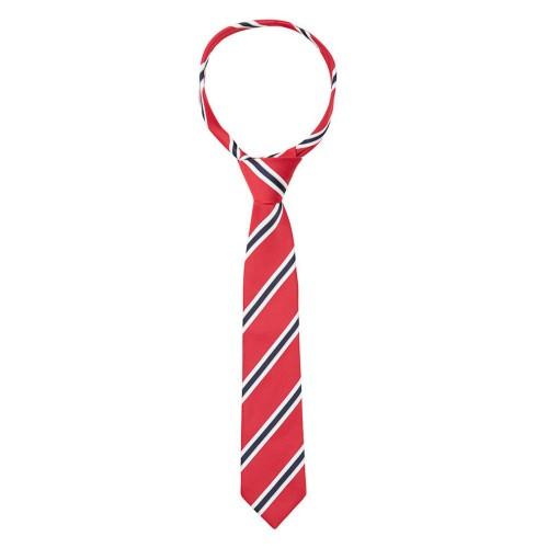 Supreme Products Unisex Adult Stripe Show Tie