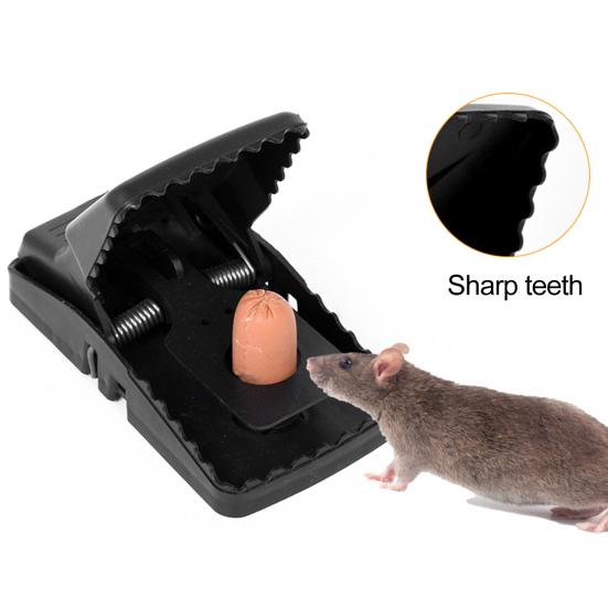 5 Pcs Mouse Trap Indoor Outdoor Mouse Snap Trap with Strong Spring Easy Setup Quick Mouse Catcher for House Mice Rats Rodents
