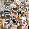 Набор из 50 водонепроницаемых ПВХ наклеек с милыми кошачьими эмодзи для DIY-украшения блокнота