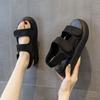 Outdoor Summer 2024 Platform Black Open Toe Footwear Sandals For Women Ladies Shoes Chic Point Hot And Low Price Designer Shoe