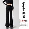 Gray Sweatpants Women's New Autumn Drape Flared Pants High Waist and Thin Casual Small Guard Pants