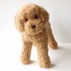 Плюшевая игрушка собака Ниниан и Кино, реалистичный игрушечный пудель (Абрикос), Свободно позируемый, Примерно 33 см в длину, Реалистичный питомец
