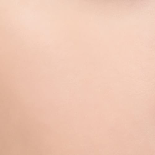 [Genuine Product] rom&nd Bloom in Cover Fit Cushion 19C Pure