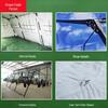 Longyingzhe 30sqm Frame Tent and Accessories