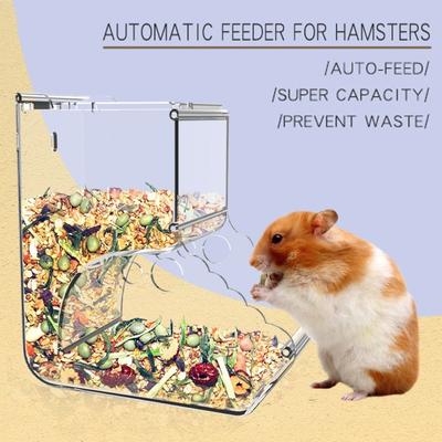 Товары для животных – Грызуны