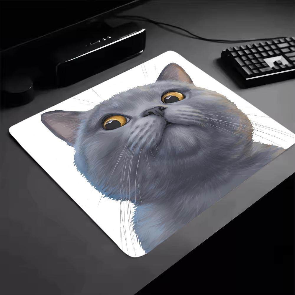 Blue Fat Cat Mouse Pad 40X45 Large Square Computer Office Game Table Mats Rubber Anti-slip Laptop Mousepads Small Desk Pads