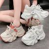 Dad Shoes Women's New Autumn Breathable Mesh Thick-soled Muffin Shoes Versatile Small Inner Height Increase Women's Shoes