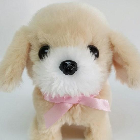 Jamina Dog Toy, Popular Toys In Korea