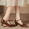 Pointed High Heels Women's Retro Brown Breathable Mary Jane Shoes Children's Autumn and Winter New Skirt Shoes