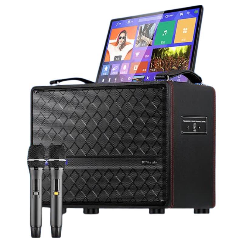 SAST SW-870 Portable KTV Speaker System (CN version)