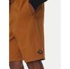 Шорты Billabong Larry Twill