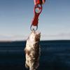 Heavy Duty Fishing Gripper Long Handle Fish Holder Weight Scale Fish Lip Gripper  Fishing Tool