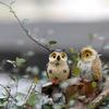 Micro Landscape Accessories Owl Ornament Animal Resin Miniatures Figurine DIY Home Decor 2pcs
