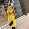 Furry Jacket Women's Large Size Autumn and Winter Thickened Imitation Mink Hair Medium and Long Hooded Loose Plush Imitation Fur Coat