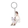 Transparent Acrylic Keychain Cat Hair Storage Capsule Hamster Hair Storage  Memorial Key Ring