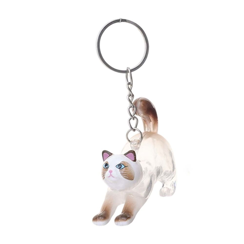 Transparent Acrylic Keychain Cat Hair Storage Capsule Hamster Hair Storage Memorial Key Ring