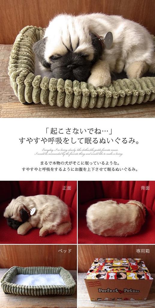 Nini and Kino Perfect Pet Pug Stuffed Toy Dog Realistic Miscellaneous Goods Animal Healing Moving Present Gift Celebration Cute Dog Stuffed Toy (Small