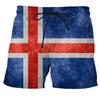 Boxing Muay Thai Kick Boxing Shorts Russia Portugal Denmark Iceland National Flag 3D Print Training Unisex Men Women Fitness Gym Sport Workout
