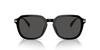 Sunglasses HC8383U CL912 BLACK 55 [Coach]