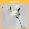 Artificial Brownii Lilium Var Viridulum For Wedding Decor And Props Photography