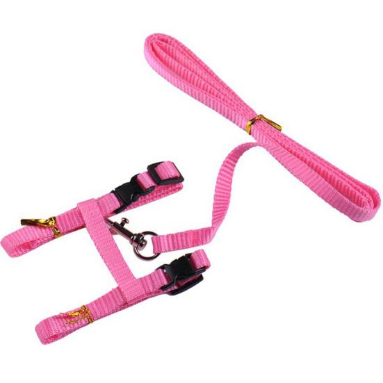 Обучение прогулке домашних животных, кошек, кроликов, мягкие ремни, поводок, тяговый ремень, инструмент