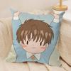 Anime CCardcaptor SSakura Cushion Cover Silky Short Plush Invisible Zipper Dustproof Sofa Pillow Case For Home Decor