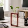 Wooden Glass Tube Vase Minimalist Hydroponic Flowerpot Plant Stand Flower Holder  Living Room