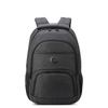 Рюкзаки Delsey Element 15,6-дюймовый рюкзак для ноутбука Element