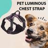 Luminous Pet Harness Rechargeable LED Lighted Dog Harness Adjustable Glowing Pet Chest Strap