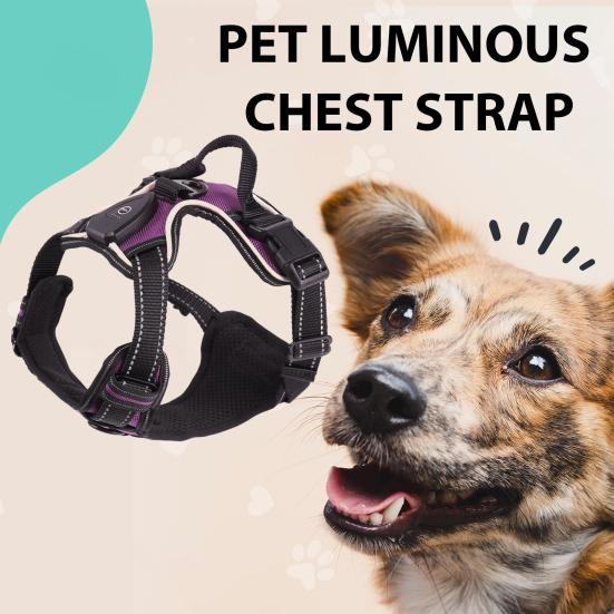 Luminous Pet Harness Rechargeable LED Lighted Dog Harness Adjustable Glowing Pet Chest Strap