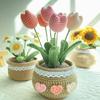 No Finish Crochet Flower Kit Handmade Woolen Yarn Tulip Potted Flower  Desktop Ornament