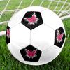 1PC Pink Butterfly Artwork Soccer Ball Size 5 Football Machine Sewn Indoor/Outdoor Universal Football S12