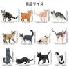 EYSCOTA CAT Фигурка животного Пластиковый набор животных для детей Набор, 12 штук