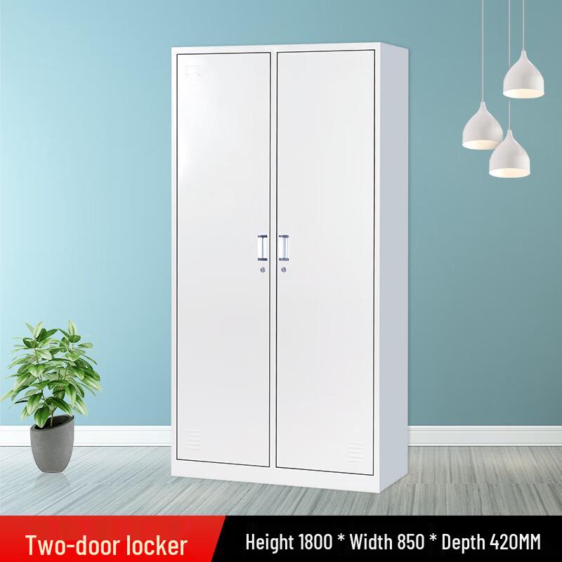 Lieve Thickened Two-Door Lockable Storage Locker