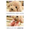 Toy Poodle Plush Hoodie Removable 20cm Sitting Fluffy Fluffy Dog Teddy Bear Dog Teddy Poodle (Sky Blue)