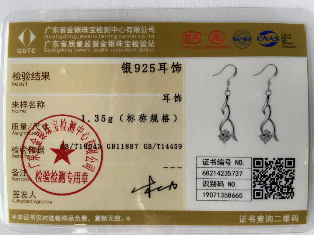 925 Sterling Silver AAA Zircon Earrings Wedding Jewelry