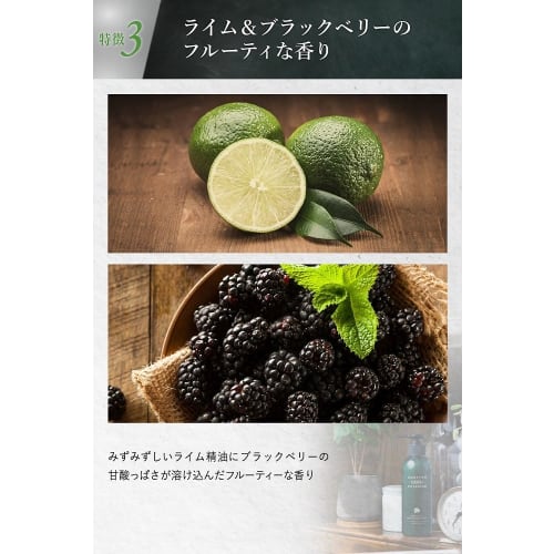 Quattro Botanico Body Cream Lime & Blackberry Scent Moisturizing [Botanical Body Treatment Milk] Pump for Dry Skin and Sensitive Skin Men's Unisex Add