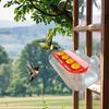 Window Hummingbird Feeder Plastic Birds Feeding Tray with 4 Feeding Ports Strong Suction Cup Hummingbird Feeder for Outdoors