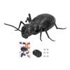 Ant Toy Infrared Remote Control Clear Texture Dynamic Lighting Remote Control Bug for Hallowmas