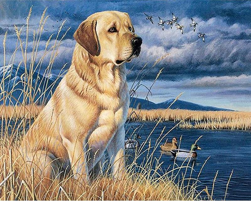 5D DIY Алмазная картина Клан волка Девушка Полный квадратный круглый набор для вышивки крестом Алмазная вышивка Сад Уличный пейзаж Мозаика Ручная работа Домашний декор