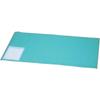 IRIS OHYAMA Desk Mat Width 99 X Depth 69cm Natural/Green DMT-9969PZ