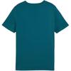 Puma Футболка Ess+ Logo Lab Graphic Tee II с принтом, удобный круглый вырез, короткий рукав, детская, прохладно-зеленый цвет, артикул 681842-22