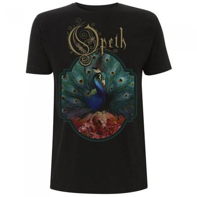 Футболка «Волшебница» Opeth унисекс для взрослых