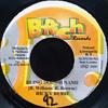 7inch Record RICKY RUDIE / MONSTER TWINS - Bling Dog Mi Name / Gyal Pt. 2 NONE B-Rich Records 2000 Jamaica Reggae, Ska & Dub Used