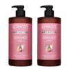 Kerasys Keramide Extremely Damaged Hair Treatment, 1L, 2 Units